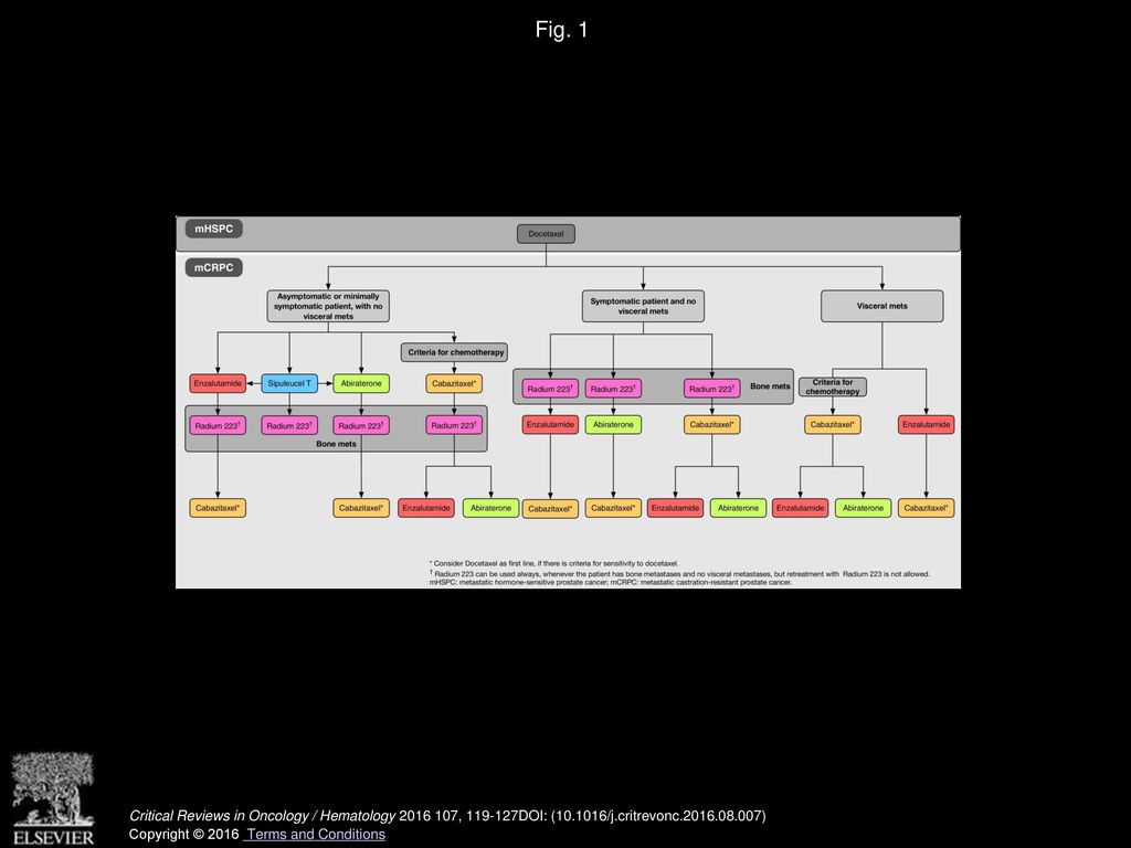 Fig. 1 Proposed treatment algorithm in patients that have received docetaxel in different scenarios.