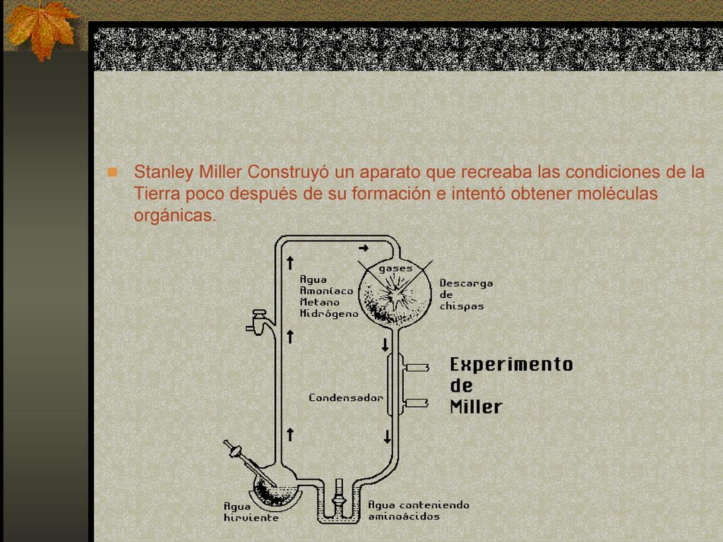 Stanley Miller Construyó un aparato que recreaba las condiciones de la Tierra poco después de su formación e intentó obtener moléculas orgánicas.