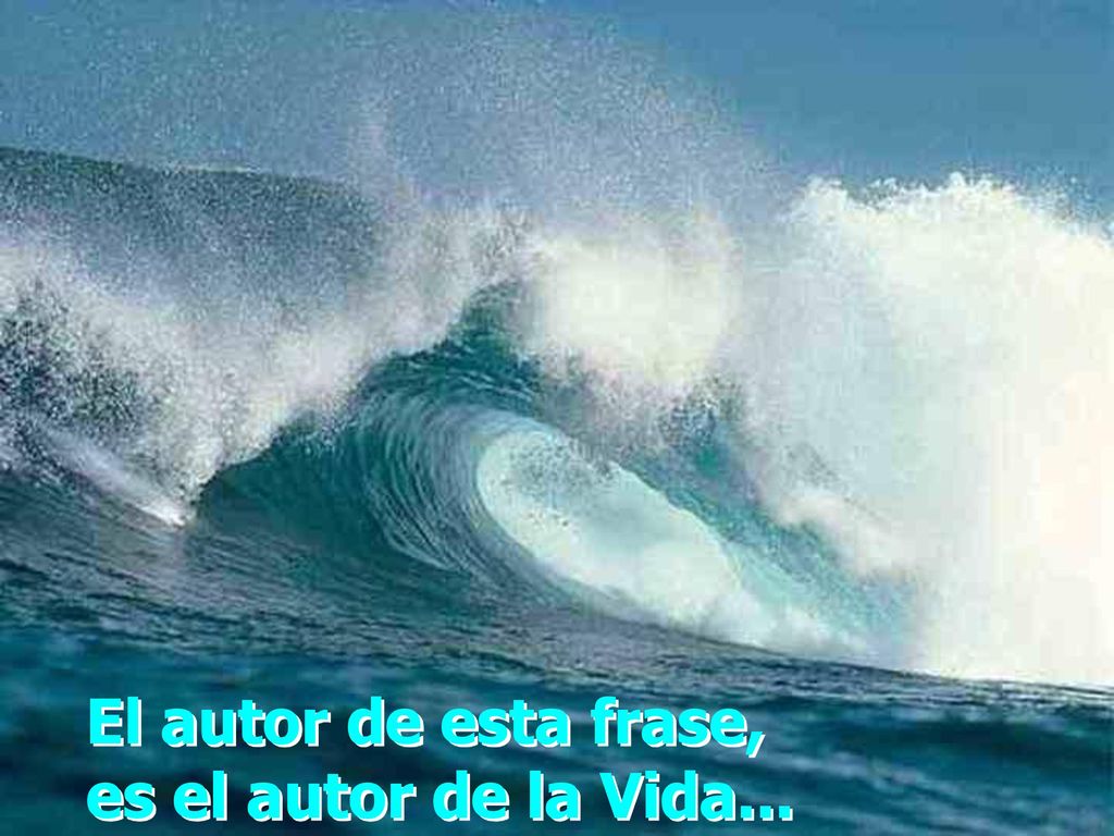 El autor de esta frase, es el autor de la Vida...