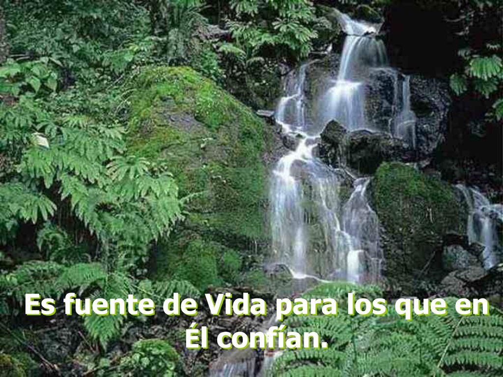 Es fuente de Vida para los que en Él confían.