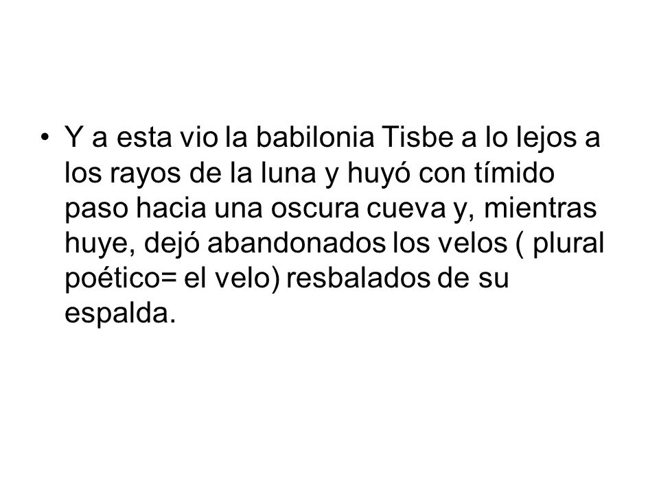 Y a esta vio la babilonia Tisbe a lo lejos a los rayos de la luna y huyó con tímido paso hacia una oscura cueva y, mientras huye, dejó abandonados los velos ( plural poético= el velo) resbalados de su espalda.