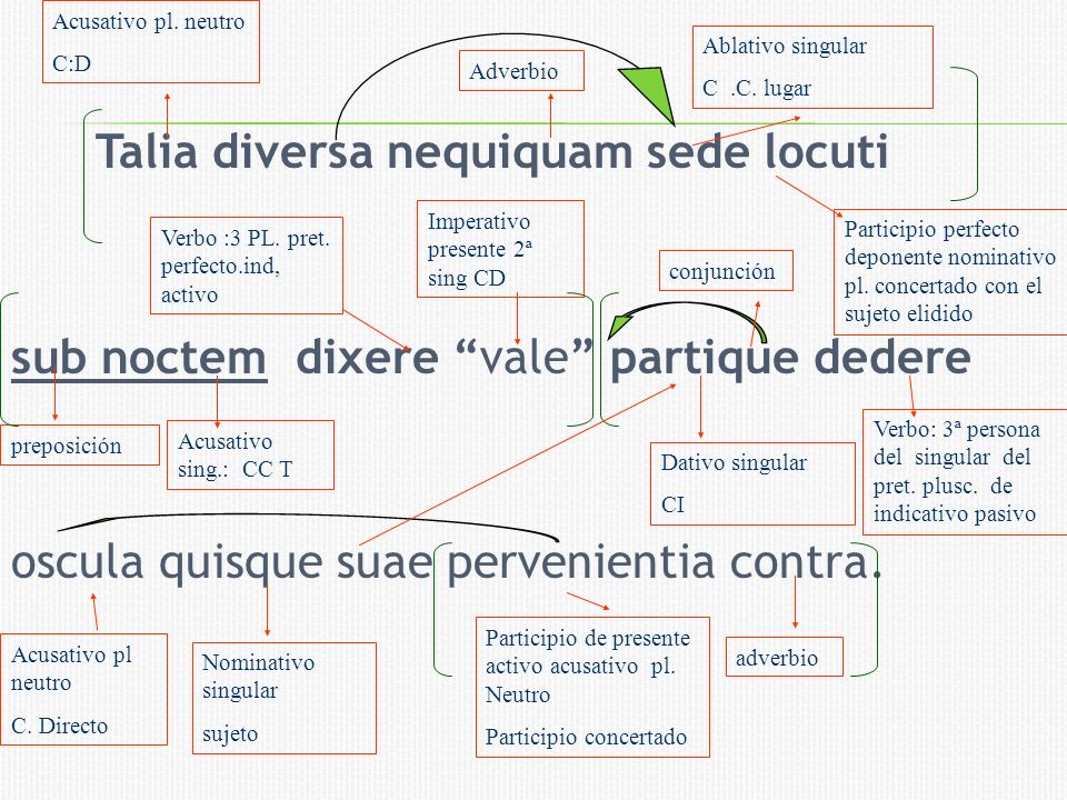 Acusativo pl. neutro C:D. Ablativo singular. C .C. lugar. Adverbio.