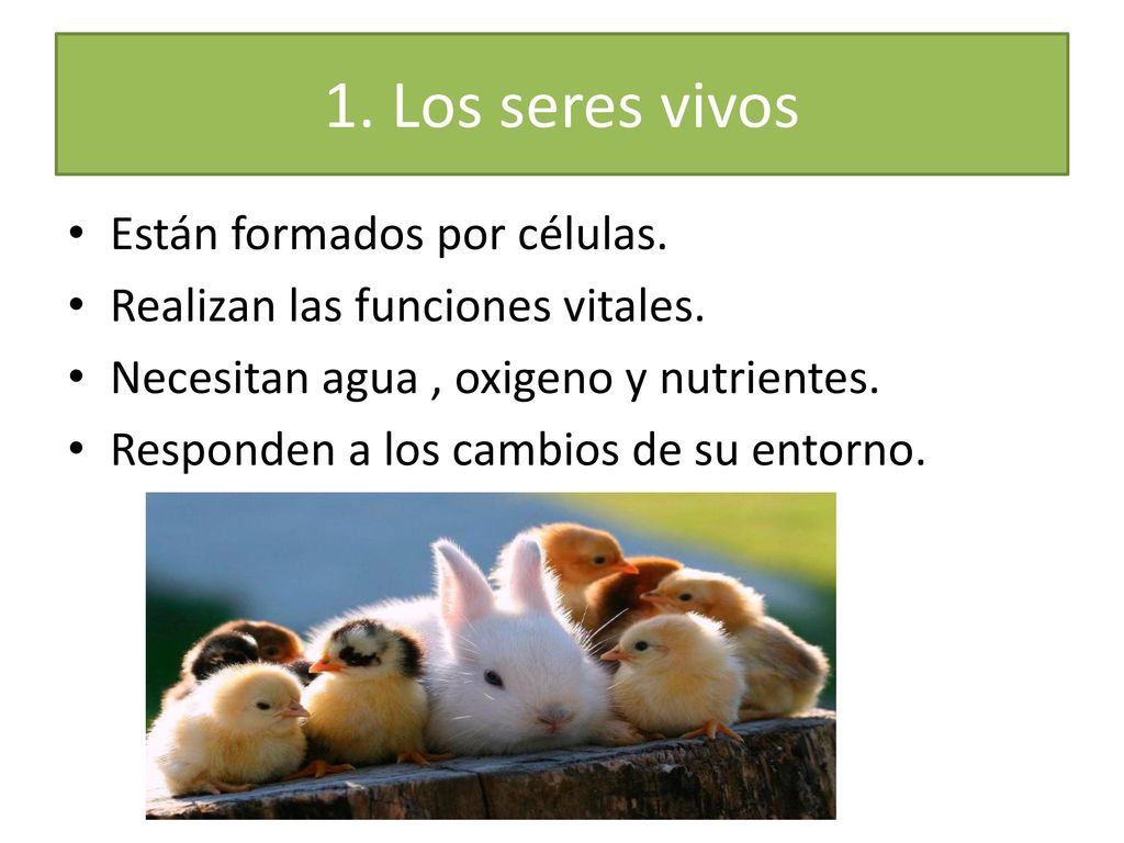 1. Los seres vivos Están formados por células.