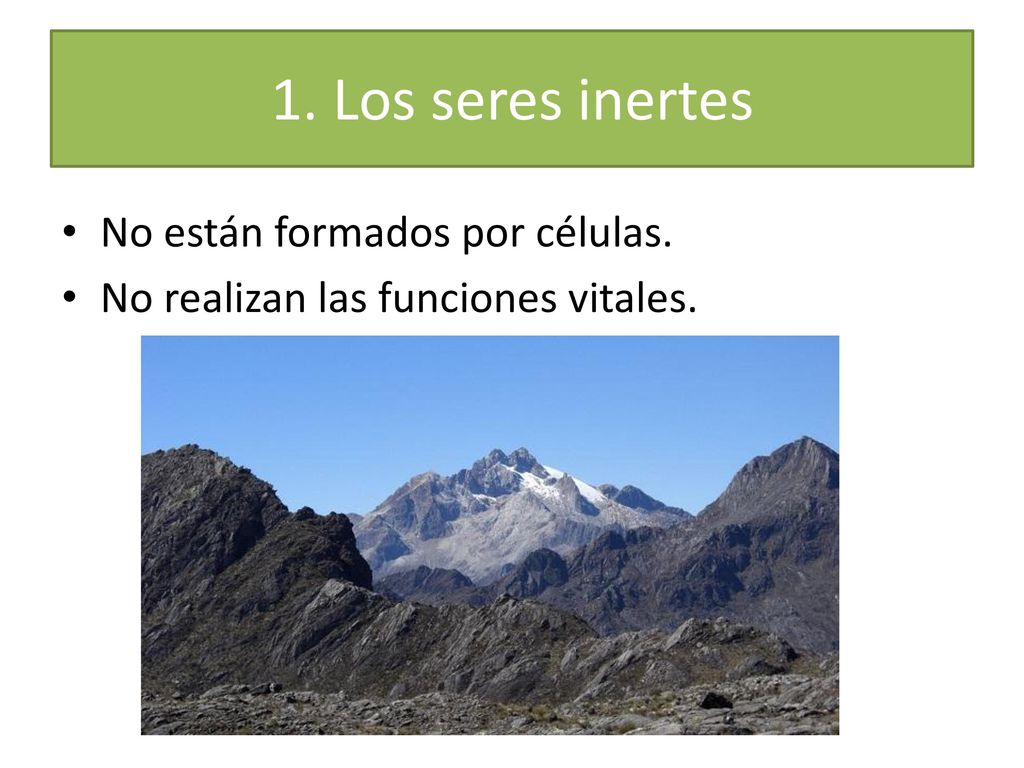 1. Los seres inertes No están formados por células.