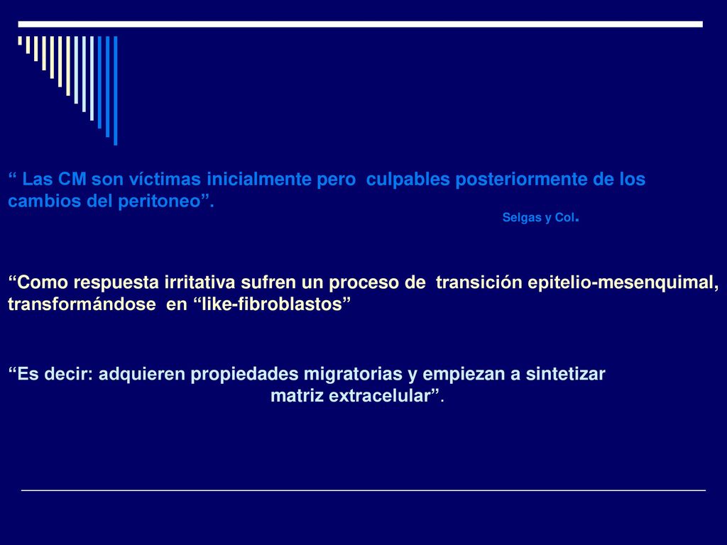 Es decir: adquieren propiedades migratorias y empiezan a sintetizar