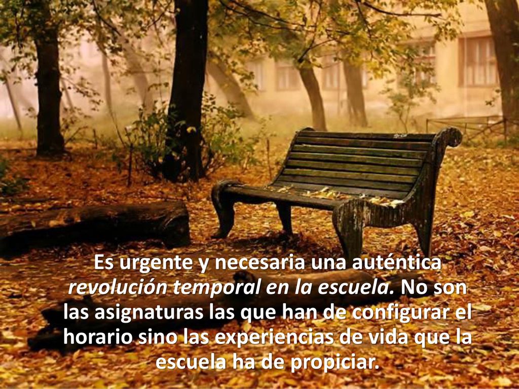 Es urgente y necesaria una auténtica revolución temporal en la escuela