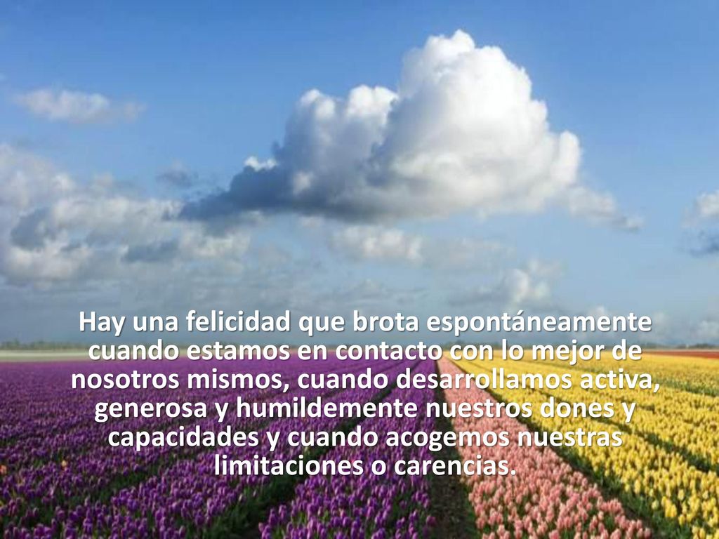 Hay una felicidad que brota espontáneamente cuando estamos en contacto con lo mejor de nosotros mismos, cuando desarrollamos activa, generosa y humildemente nuestros dones y capacidades y cuando acogemos nuestras limitaciones o carencias.