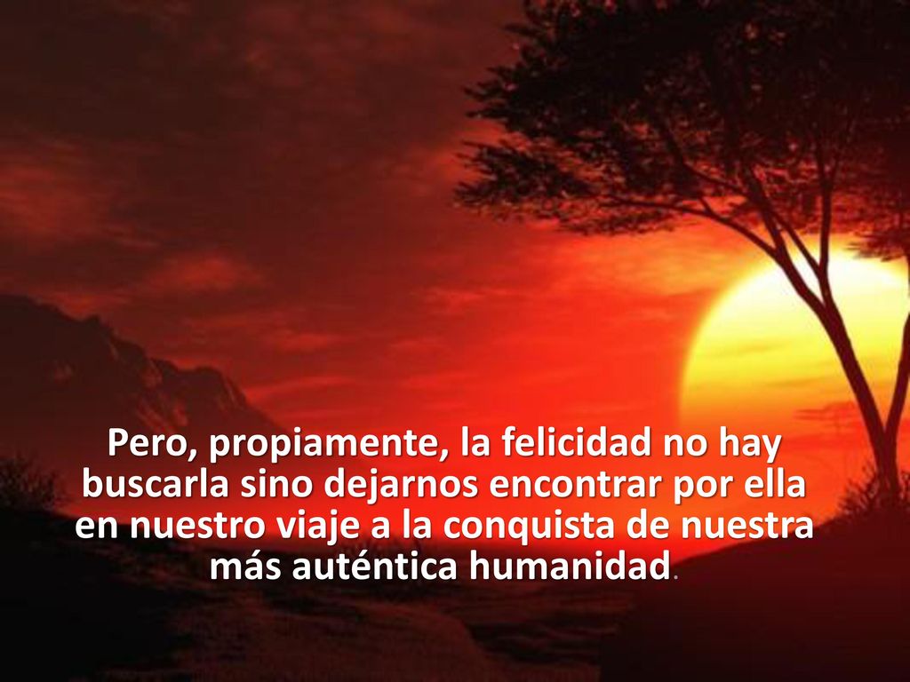 Pero, propiamente, la felicidad no hay buscarla sino dejarnos encontrar por ella en nuestro viaje a la conquista de nuestra más auténtica humanidad.