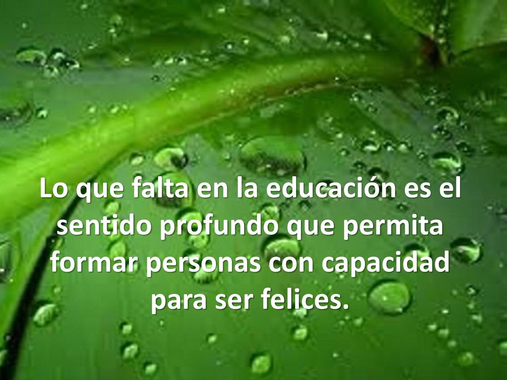 Lo que falta en la educación es el sentido profundo que permita formar personas con capacidad para ser felices.