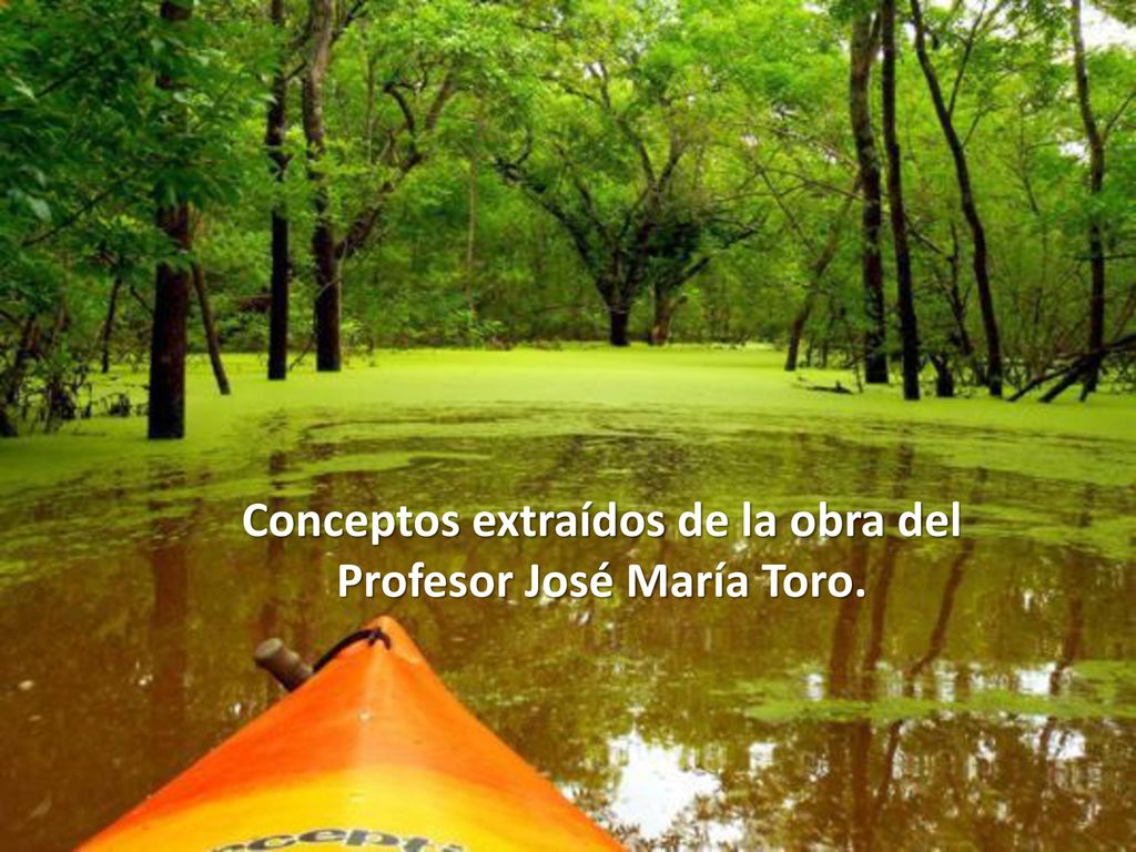 Conceptos extraídos de la obra del Profesor José María Toro.