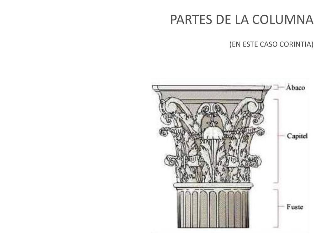 PARTES DE LA COLUMNA (EN ESTE CASO CORINTIA)