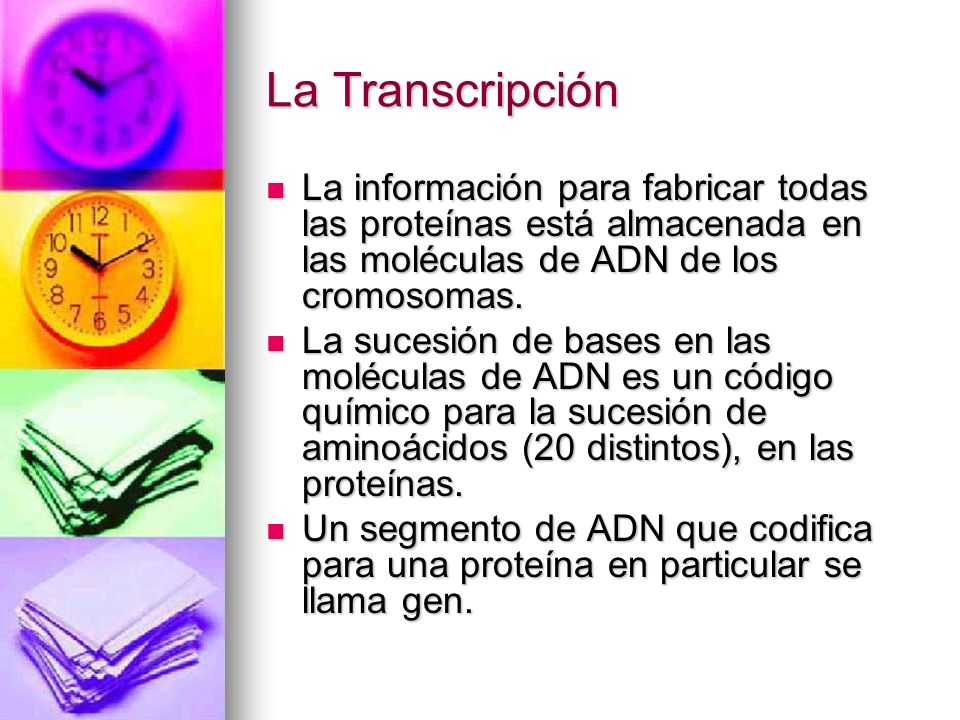 La Transcripción La información para fabricar todas las proteínas está almacenada en las moléculas de ADN de los cromosomas.