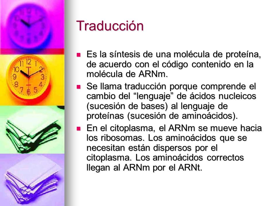 Traducción Es la síntesis de una molécula de proteína, de acuerdo con el código contenido en la molécula de ARNm.