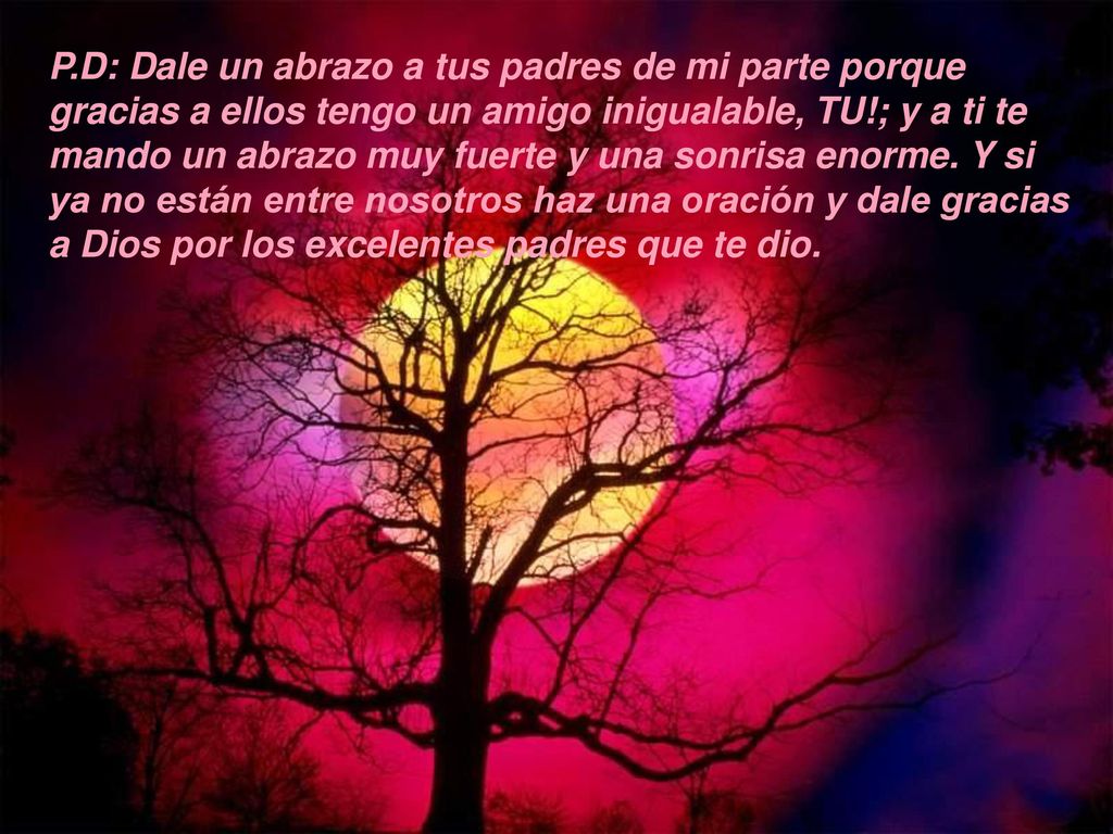 P.D: Dale un abrazo a tus padres de mi parte porque gracias a ellos tengo un amigo inigualable, TU!; y a ti te mando un abrazo muy fuerte y una sonrisa enorme.