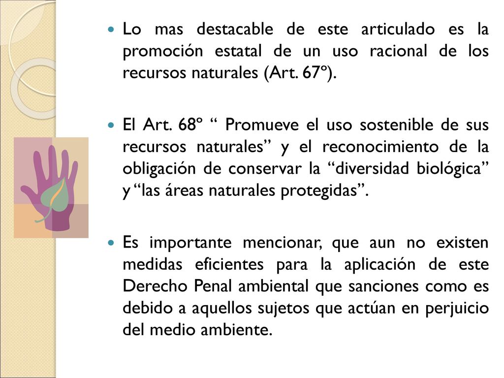 Lo mas destacable de este articulado es la promoción estatal de un uso racional de los recursos naturales (Art. 67º).