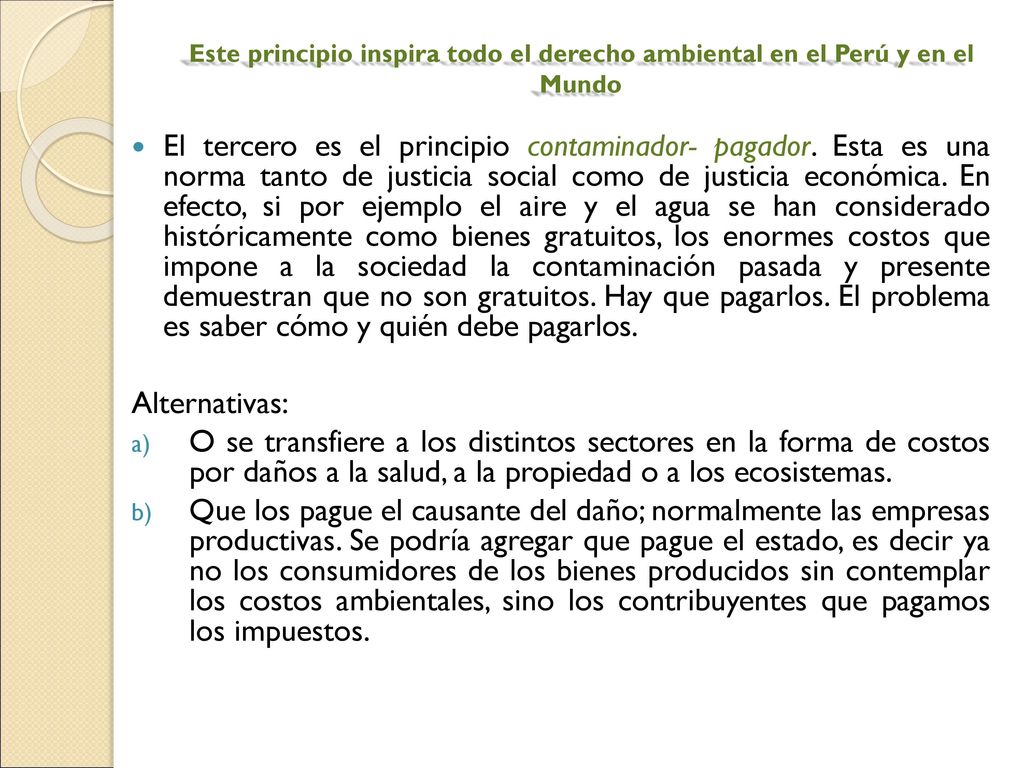 Este principio inspira todo el derecho ambiental en el Perú y en el Mundo