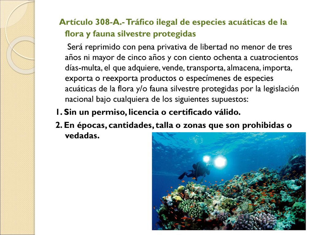 Artículo 308-A.- Tráfico ilegal de especies acuáticas de la flora y fauna silvestre protegidas