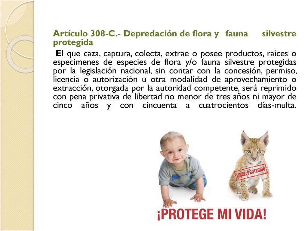 Artículo 308-C.- Depredación de flora y fauna silvestre protegida