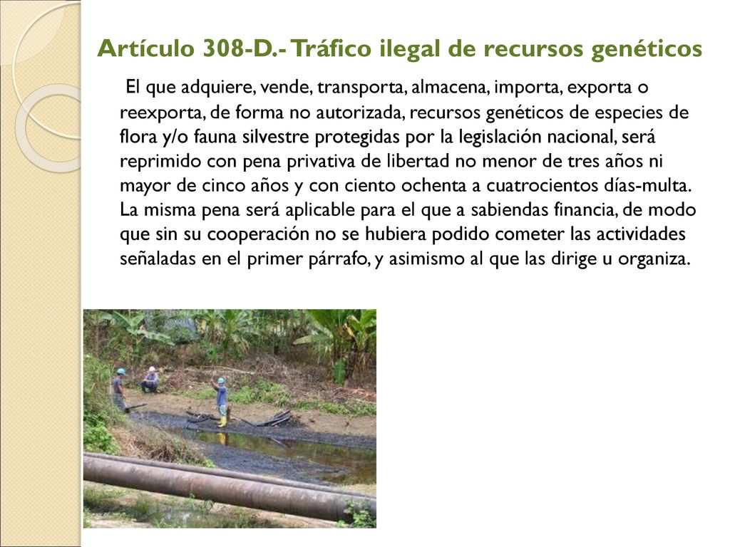 Artículo 308-D.- Tráfico ilegal de recursos genéticos El que adquiere, vende, transporta, almacena, importa, exporta o reexporta, de forma no autorizada, recursos genéticos de especies de flora y/o fauna silvestre protegidas por la legislación nacional, será reprimido con pena privativa de libertad no menor de tres años ni mayor de cinco años y con ciento ochenta a cuatrocientos días-multa.