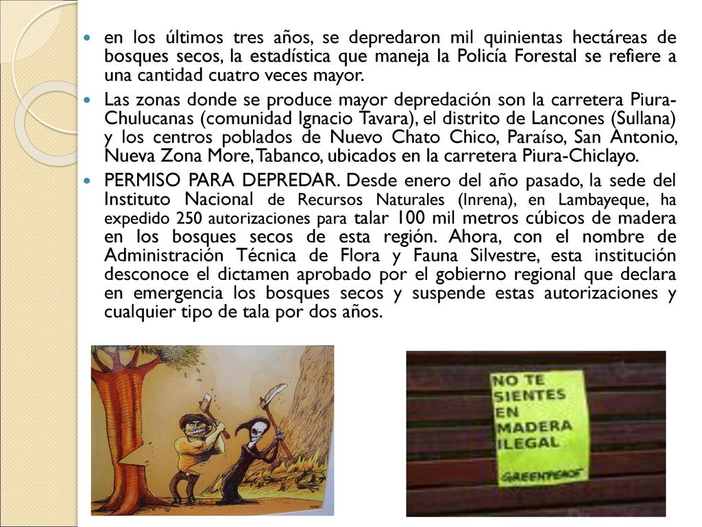 en los últimos tres años, se depredaron mil quinientas hectáreas de bosques secos, la estadística que maneja la Policía Forestal se refiere a una cantidad cuatro veces mayor.