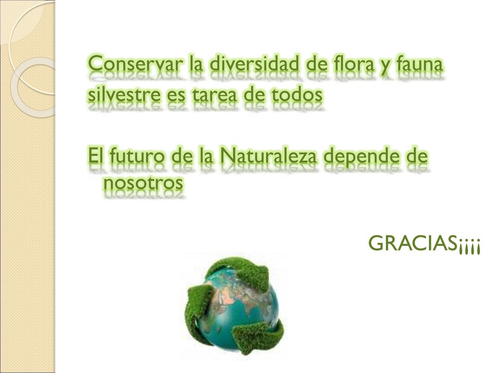 Conservar la diversidad de flora y fauna silvestre es tarea de todos El futuro de la Naturaleza depende de nosotros GRACIAS¡¡¡¡