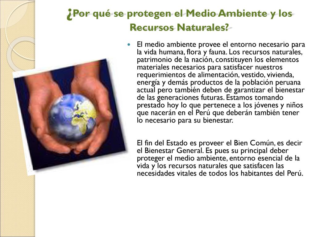 ¿Por qué se protegen el Medio Ambiente y los Recursos Naturales