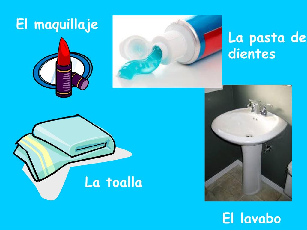 El maquillaje La pasta de dientes La toalla El lavabo
