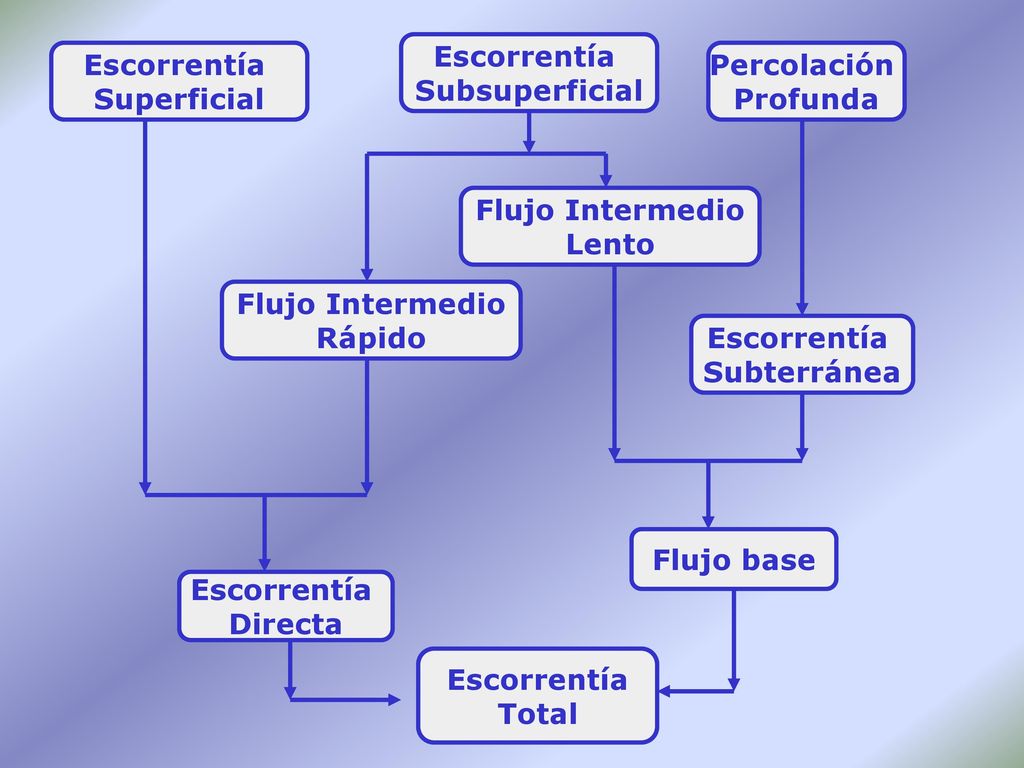 Escorrentía Subsuperficial. Escorrentía. Superficial. Percolación. Profunda. Flujo Intermedio.