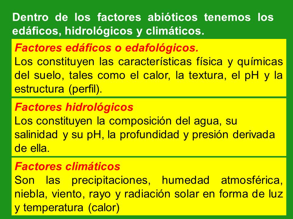 Dentro de los factores abióticos tenemos los edáficos, hidrológicos y climáticos.