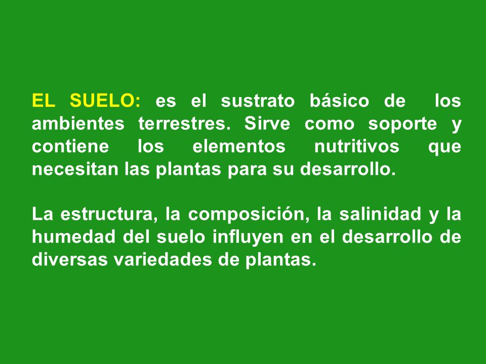 EL SUELO: es el sustrato básico de los ambientes terrestres