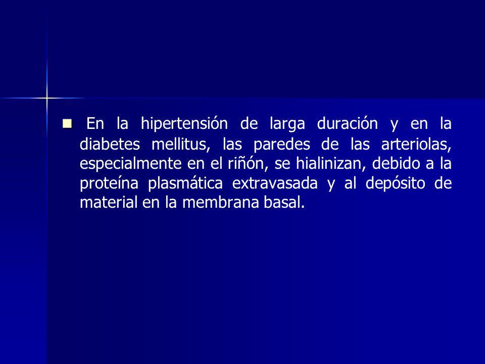En la hipertensión de larga duración y en la diabetes mellitus, las paredes de las arteriolas, especialmente en el riñón, se hialinizan, debido a la proteína plasmática extravasada y al depósito de material en la membrana basal.
