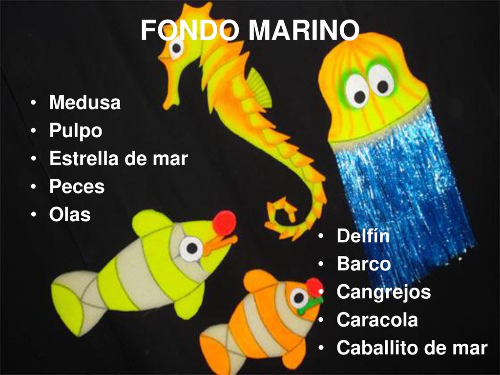 FONDO MARINO Medusa Pulpo Estrella de mar Peces Olas Delfín Barco