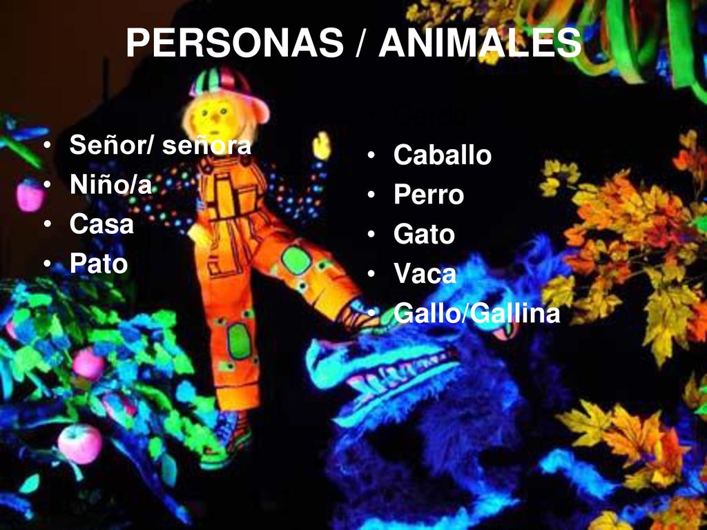 PERSONAS / ANIMALES Cerdo Caballo Señor/ señora Perro Niño/a Gato Casa