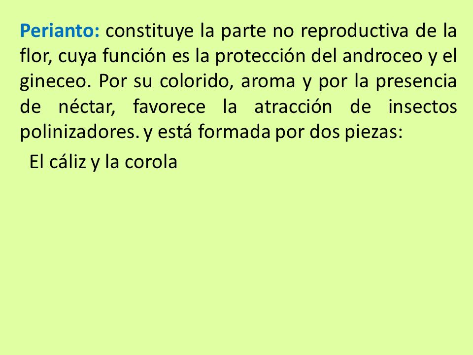 Perianto: constituye la parte no reproductiva de la flor, cuya función es la protección del androceo y el gineceo. Por su colorido, aroma y por la presencia de néctar, favorece la atracción de insectos polinizadores. y está formada por dos piezas: