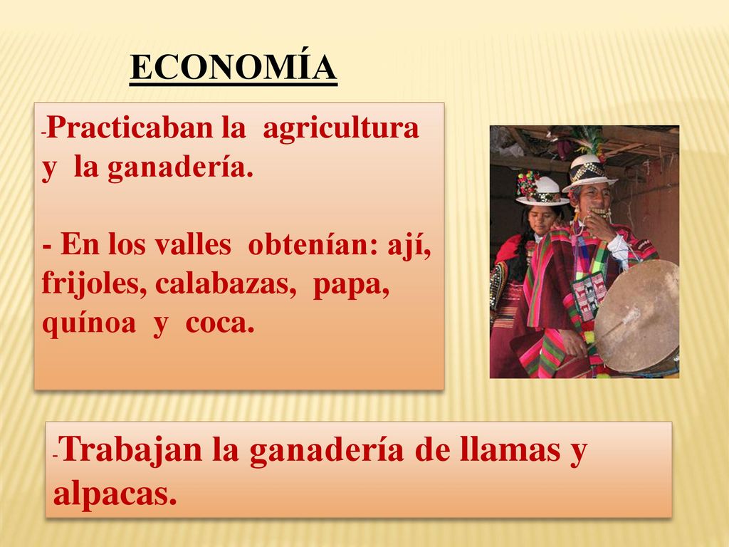 ECONOMÍA -Practicaban la agricultura y la ganadería. - En los valles obtenían: ají, frijoles, calabazas, papa, quínoa y coca.