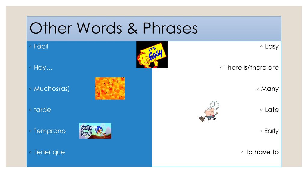 Other Words & Phrases Fácil Hay… Muchos(as) tarde Temprano Tener que