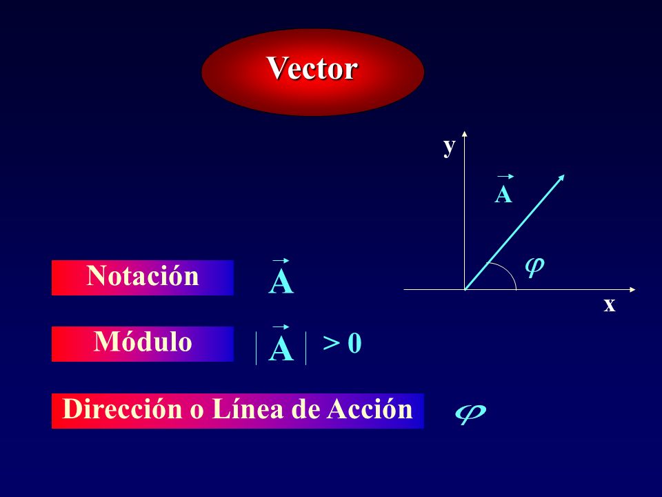 Dirección o Línea de Acción