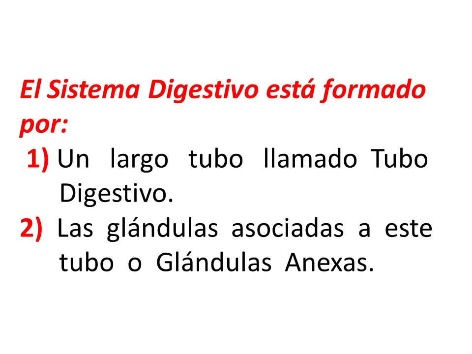 El Sistema Digestivo está formado por: 1) Un largo tubo llamado Tubo Digestivo.