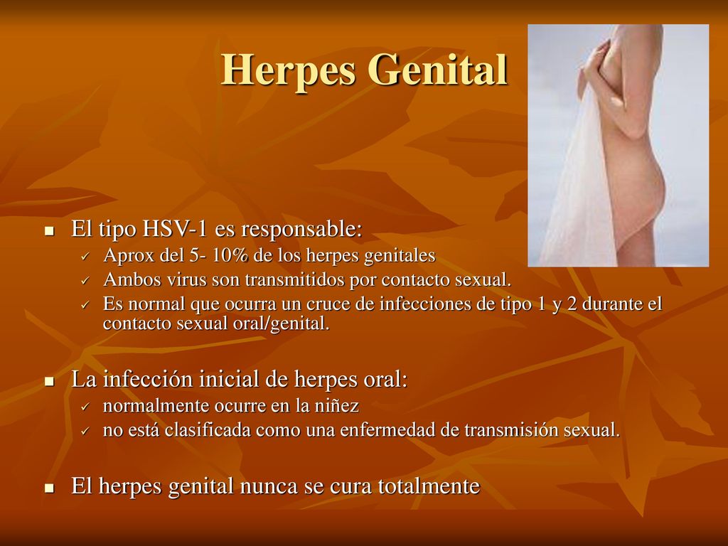 Herpes Genital El tipo HSV-1 es responsable: