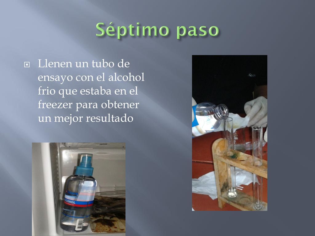 Séptimo paso Llenen un tubo de ensayo con el alcohol frio que estaba en el freezer para obtener un mejor resultado.