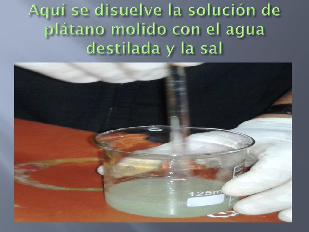 Aquí se disuelve la solución de plátano molido con el agua destilada y la sal