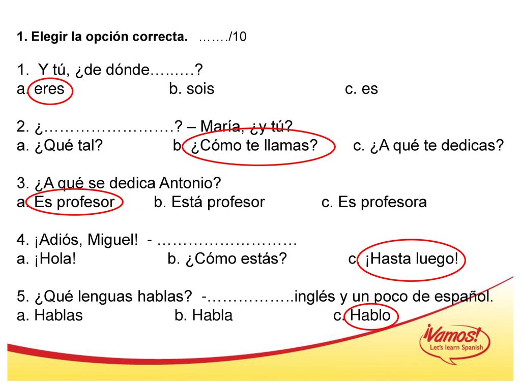 a. ¿Qué tal b. ¿Cómo te llamas c. ¿A qué te dedicas
