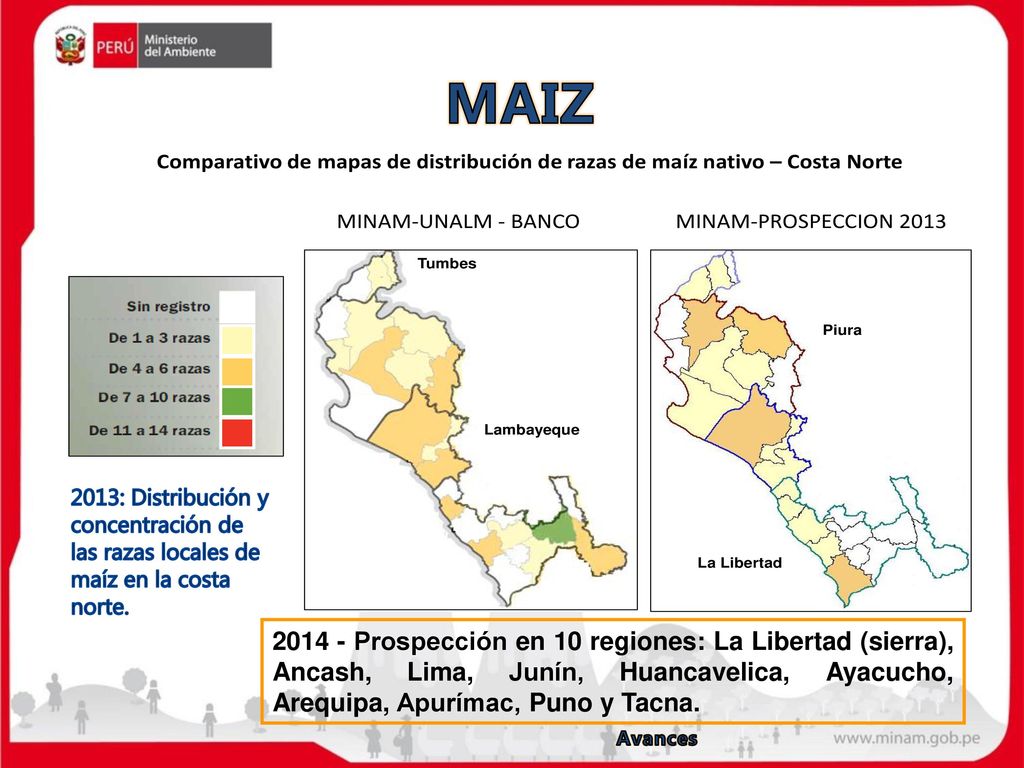 MAIZ 2013: Distribución y concentración de las razas locales de maíz en la costa norte.