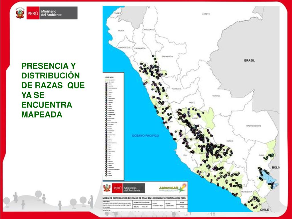 PRESENCIA Y DISTRIBUCIÓN DE RAZAS QUE YA SE ENCUENTRA MAPEADA