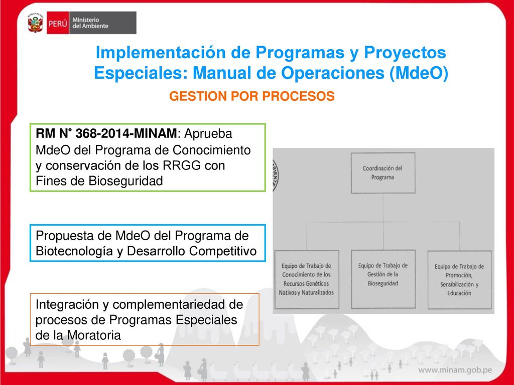 Implementación de Programas y Proyectos Especiales: Manual de Operaciones (MdeO)