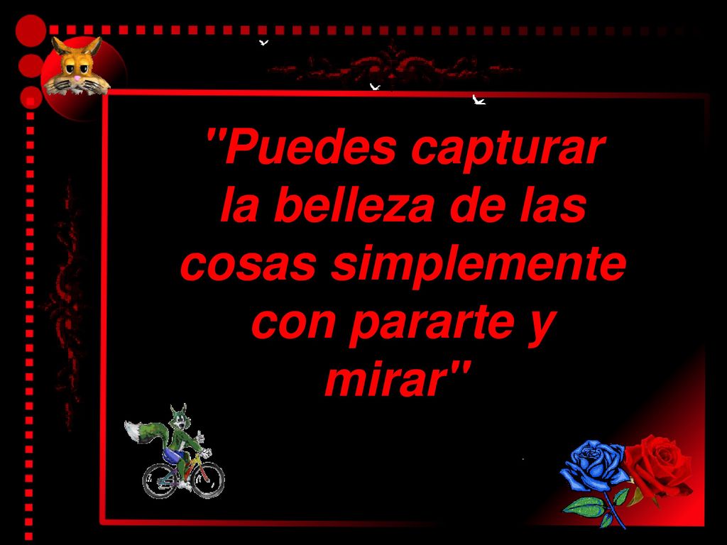 Puedes capturar la belleza de las cosas simplemente con pararte y mirar