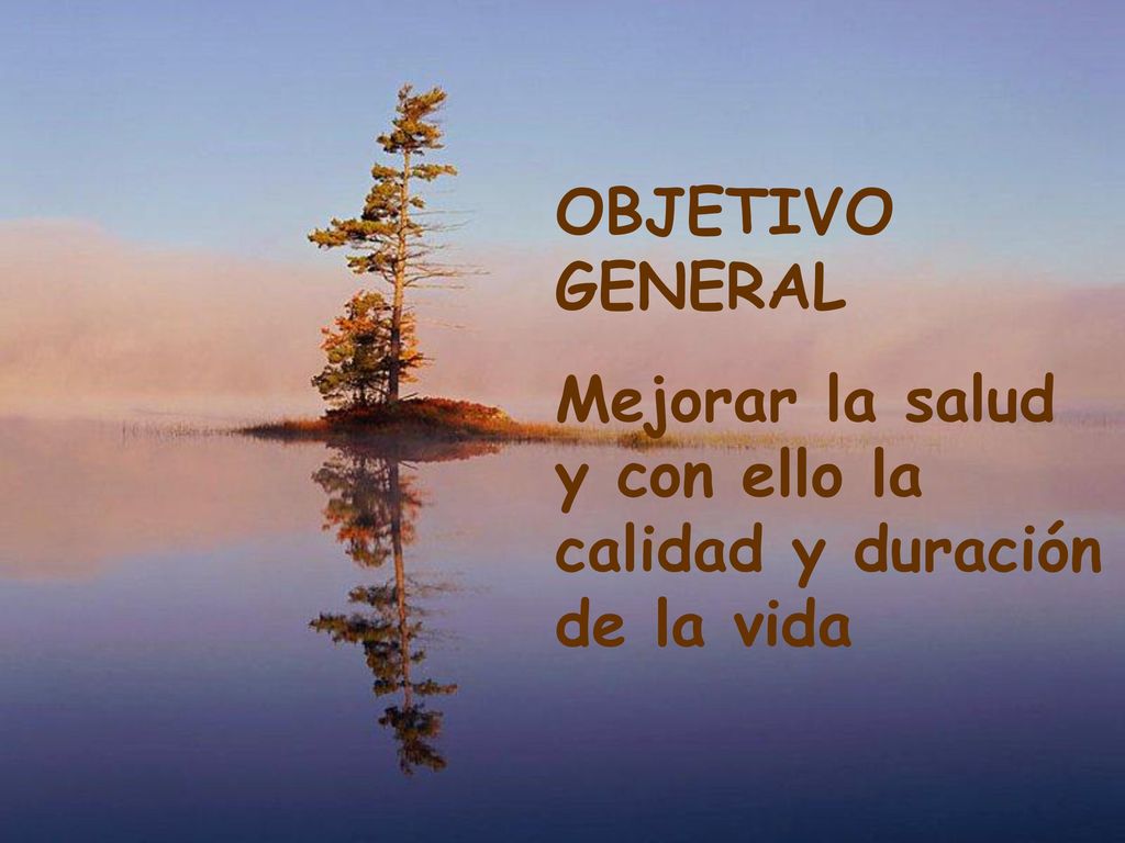 OBJETIVO GENERAL Mejorar la salud y con ello la calidad y duración de la vida