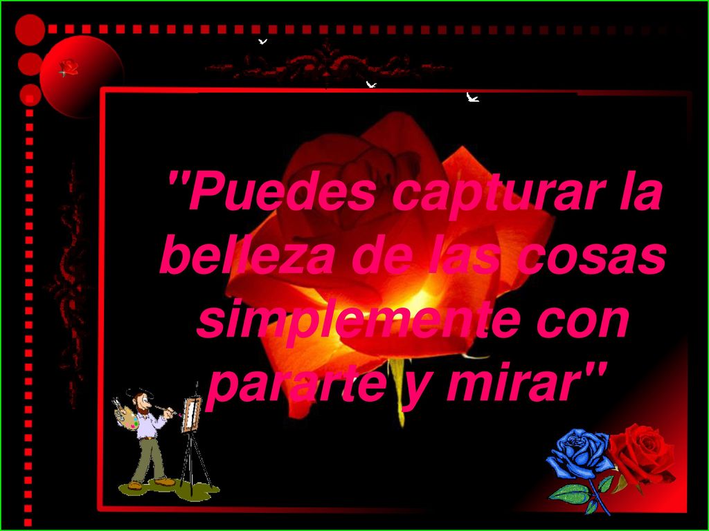 Puedes capturar la belleza de las cosas simplemente con pararte y mirar