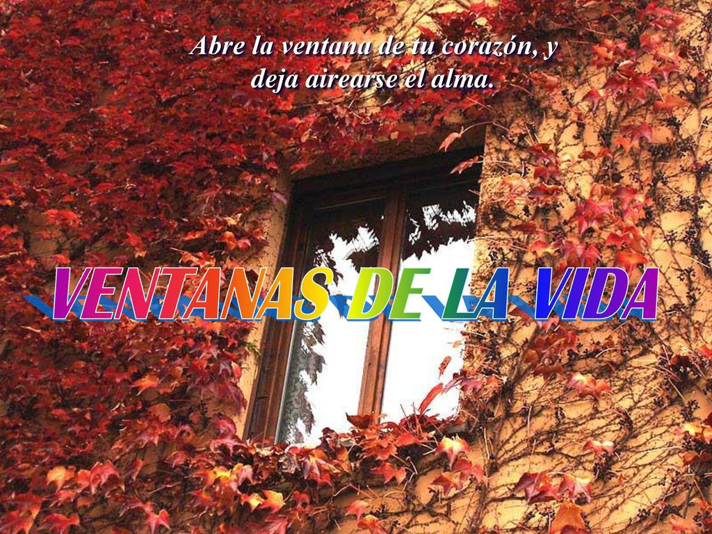 Abre la ventana de tu corazón, y deja airearse el alma.