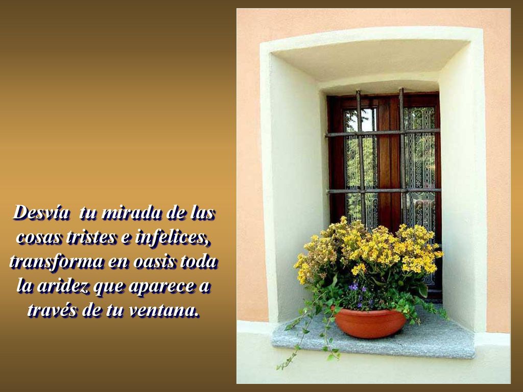 Desvía tu mirada de las cosas tristes e infelices, transforma en oasis toda la aridez que aparece a través de tu ventana.